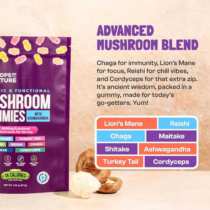 Organic Nootropic Brain Mushroom Extract Gummies
