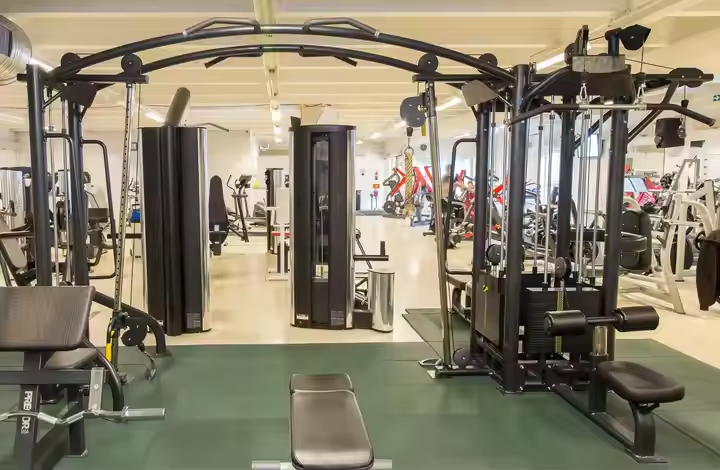 Commercial 5 Multi-Station Core Trainer